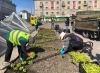 На роботу в ТЗГ у Рівному шукають тих, хто любить і уміє працюватиме з квітами 