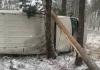 Напідпитку водій на Поліссі злетів у кювет (ФОТО)