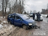П’яний водій втікав від поліцейських та врізався у дерево (ВІДЕО)