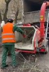 Рівненські комунальники тепер мають, куди подіти зрізані гілки 