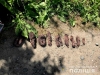 У Здовбиці ціла вулиця залишилась без інтернету через крадіїв кабелю