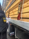 Волинські митники зупинили протиправний експорт соснових пиломатеріалів з Рівненщини до Латвії