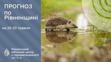 Не ховайте парасолі! Цими днями на Рівненщині все ще дощитиме