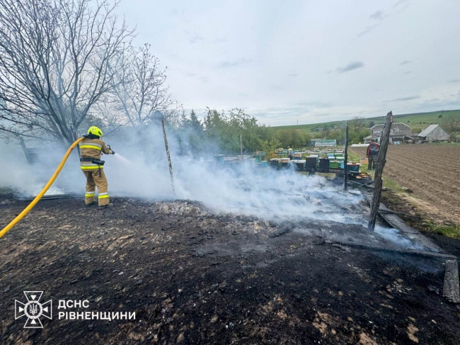 У селі на Рівненщині горіли вулики